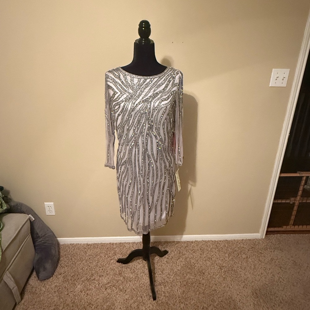 Elegant Silver Sequin Dress